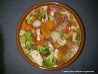 chicken vegetable soup